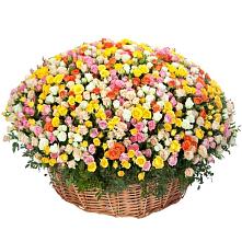 Премиум букет из: Розы #REPLACE_PRED# Екатеринбурге